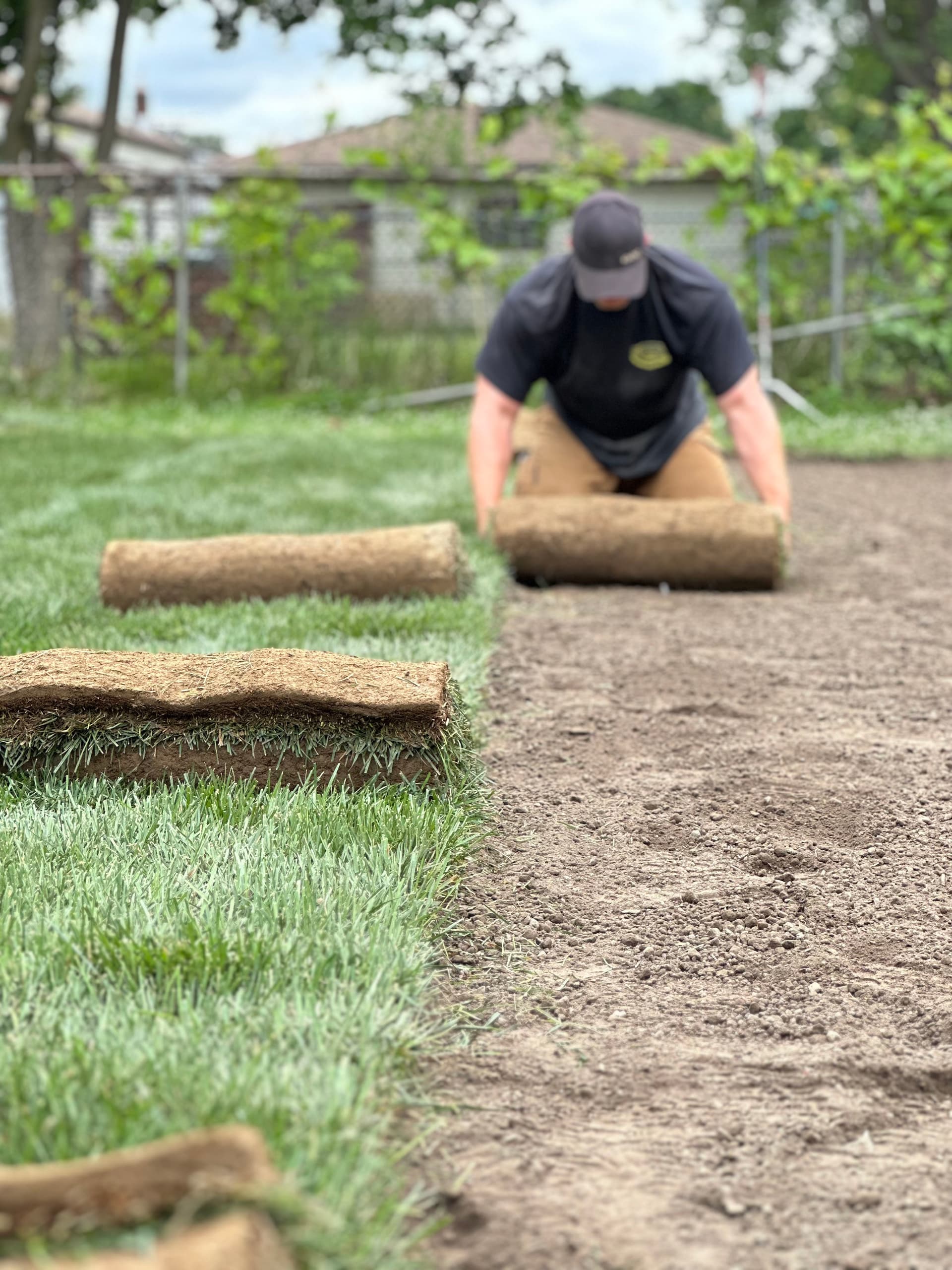 Fresh Lawn with Expert Sod Installation image