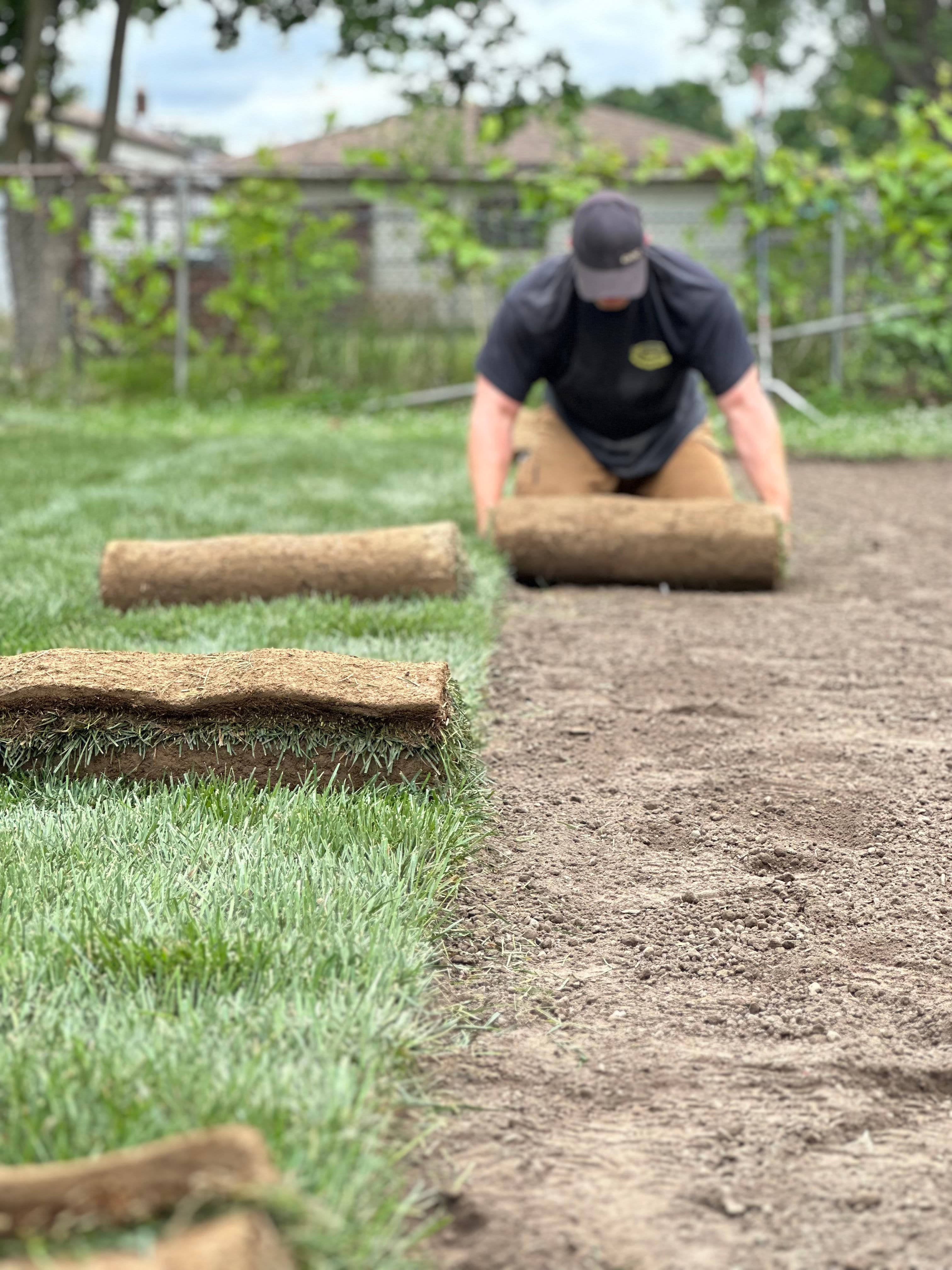 Project Fresh Lawn with Expert Sod Installation image
