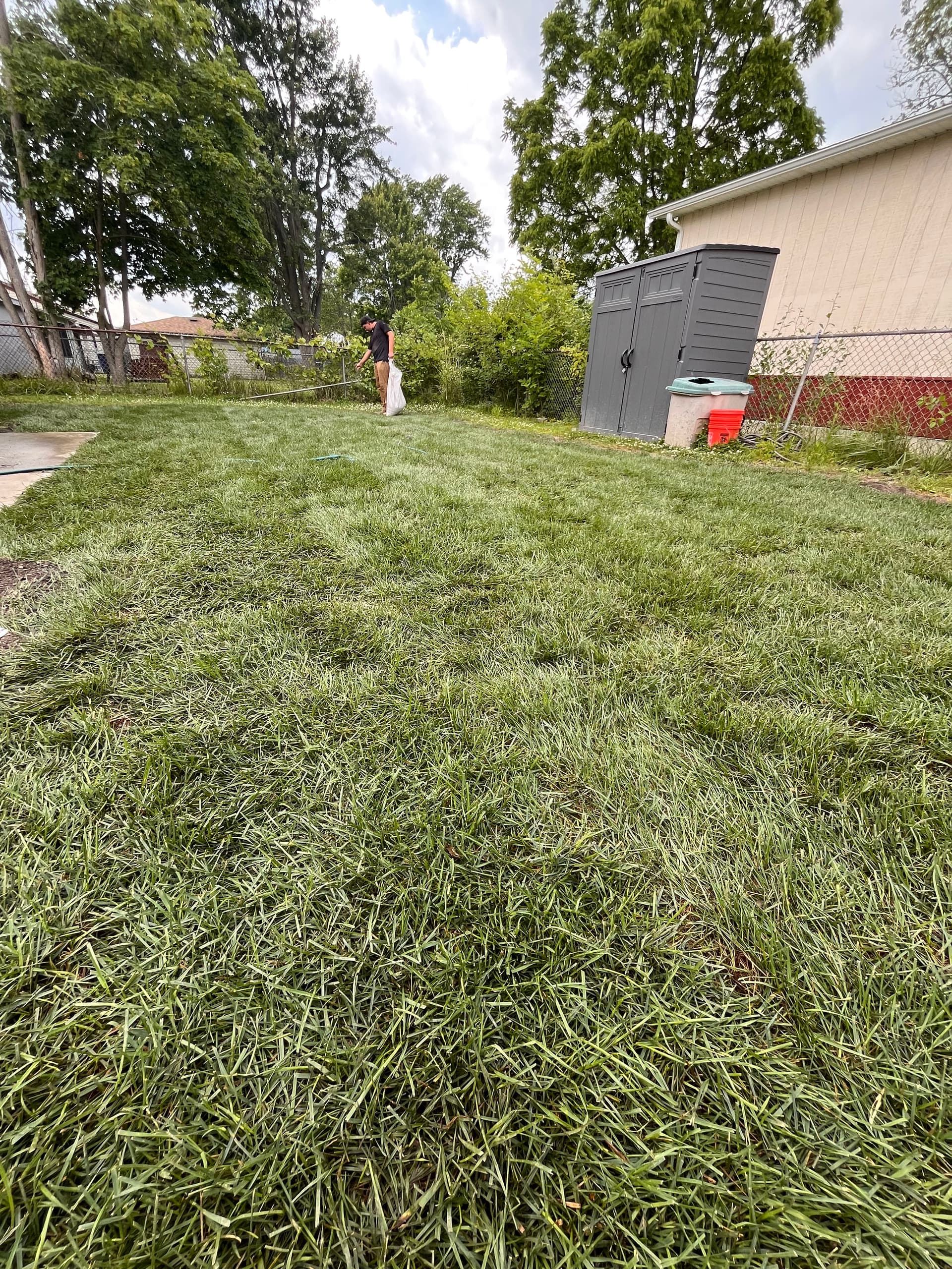 Gallery photos for Fresh Lawn with Expert Sod Installation: Image #1