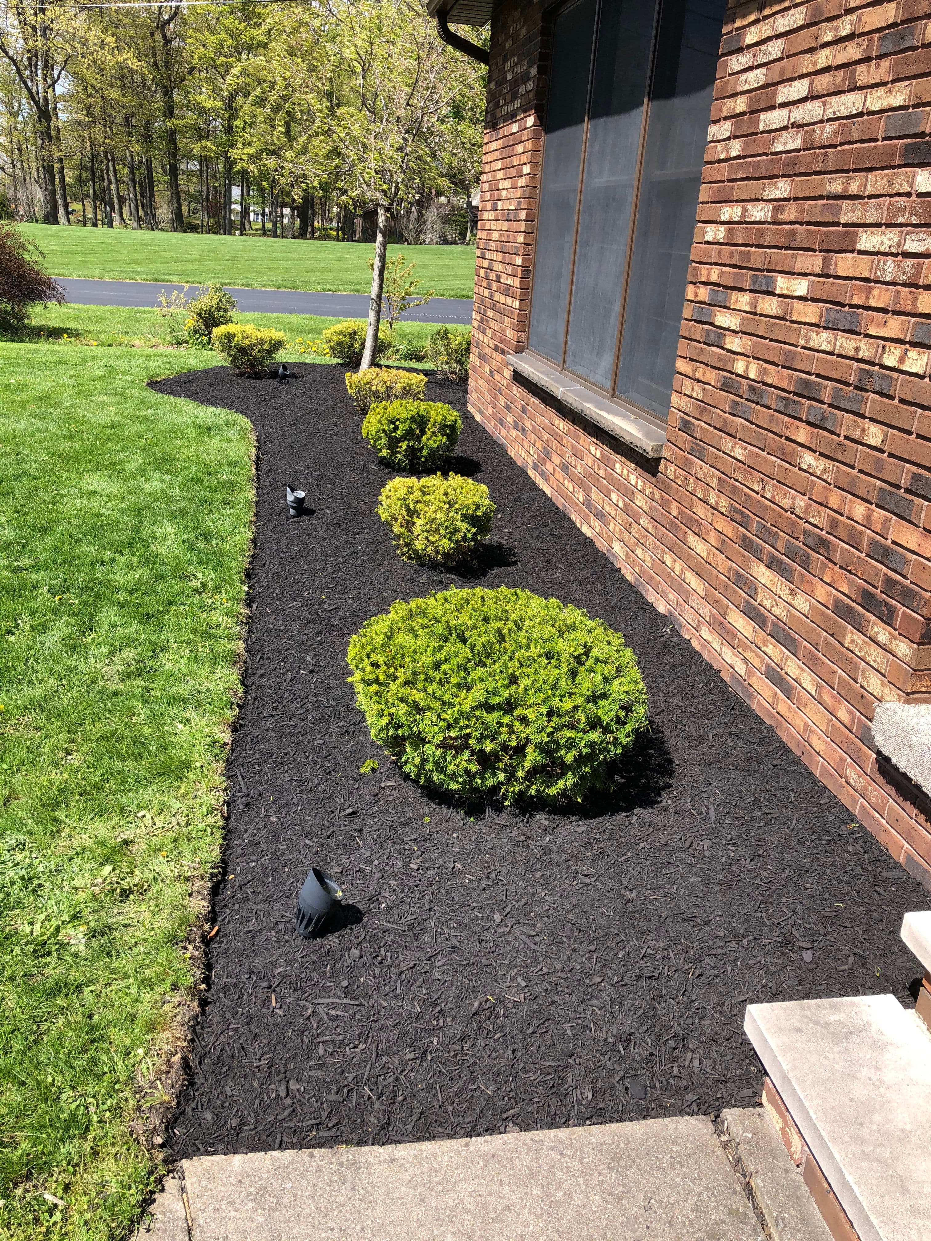 Project Transform Your Yard with Precise Mulching and Edging image