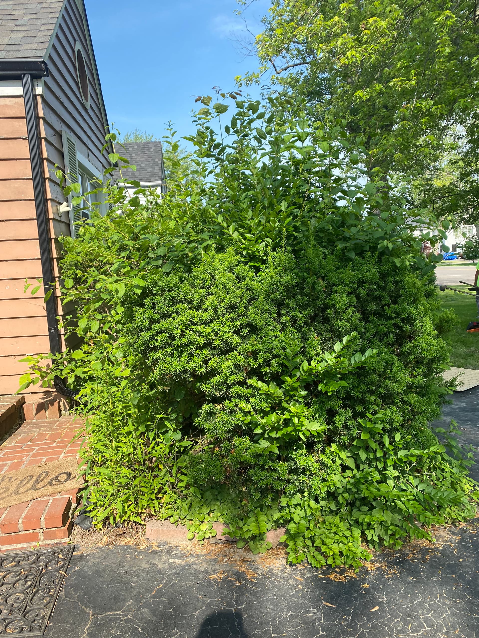 Gallery photos for Stylish Front Yard Renovation in Grand Island: Image #7