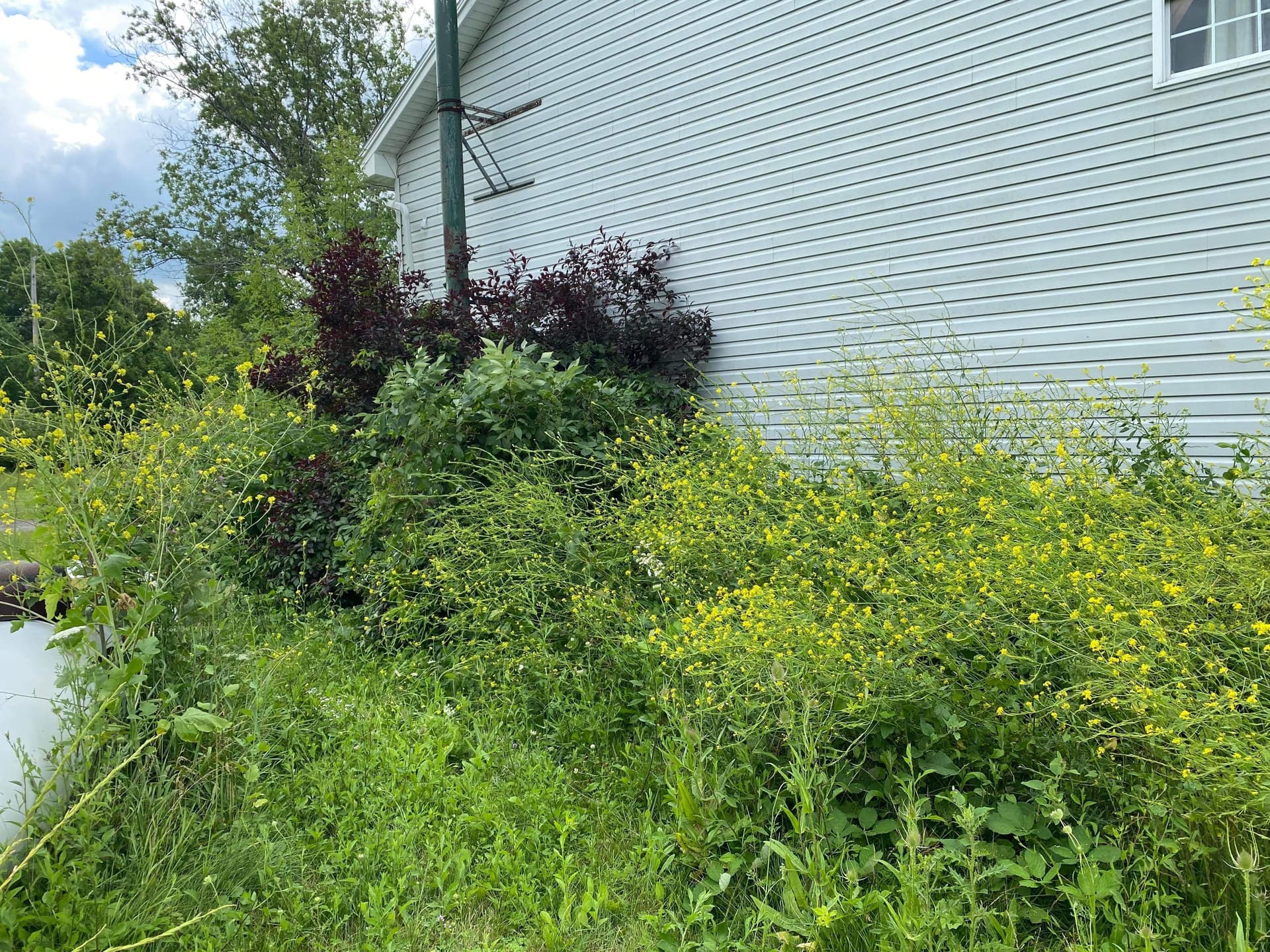 Gallery photos for Stone Installation Brings New Life to Your Home's Exterior: Image #8