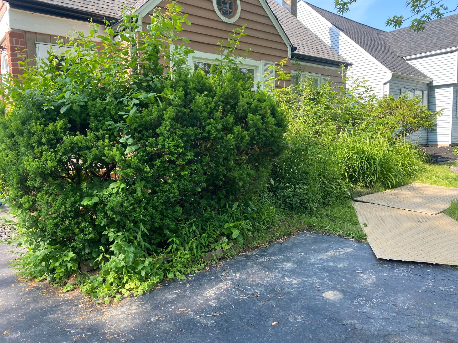 Gallery photos for Stylish Front Yard Renovation in Grand Island: Image #2