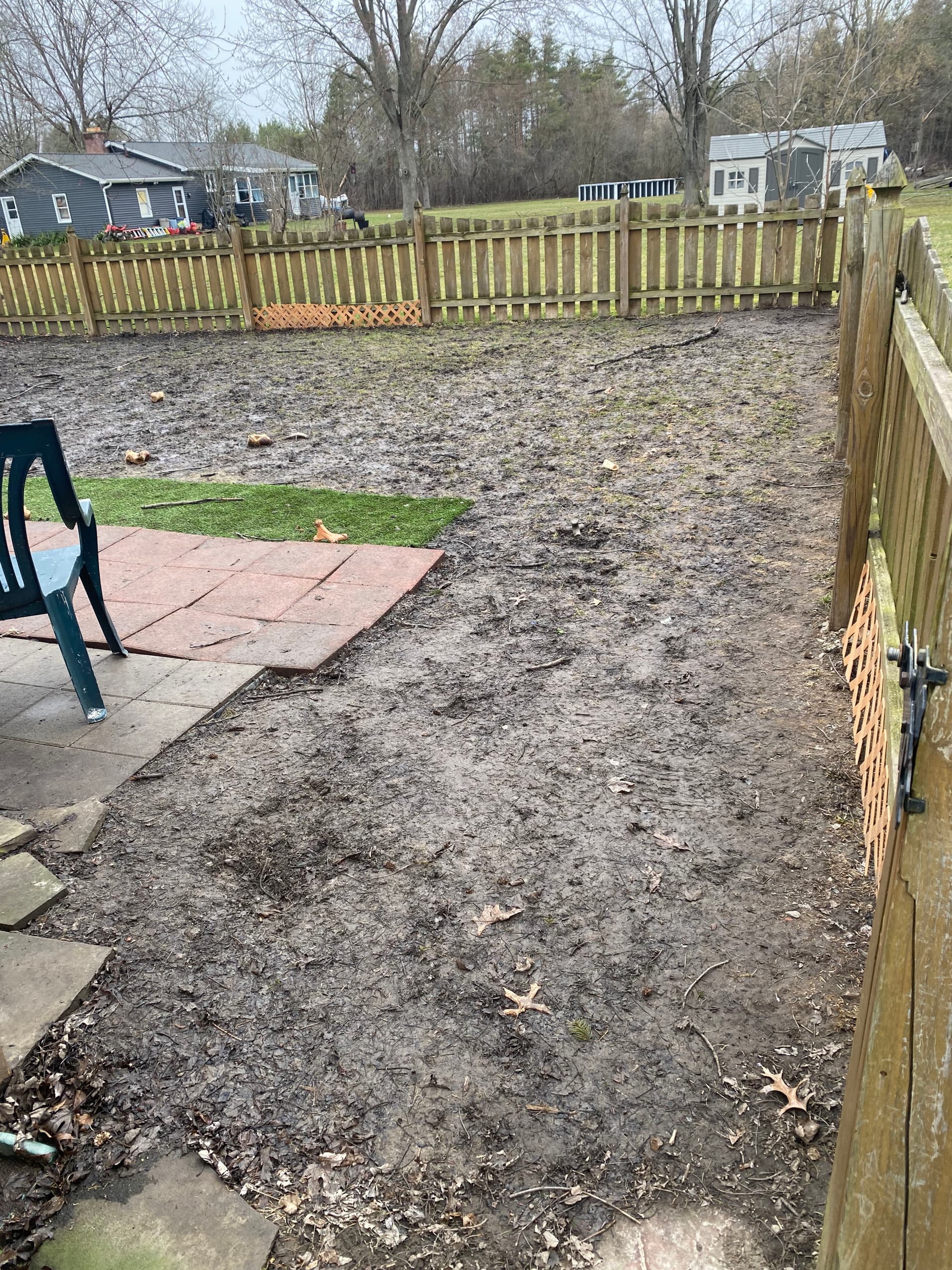 Gallery photos for Pet-Friendly Turf Upgrade in Western New York: Image #2