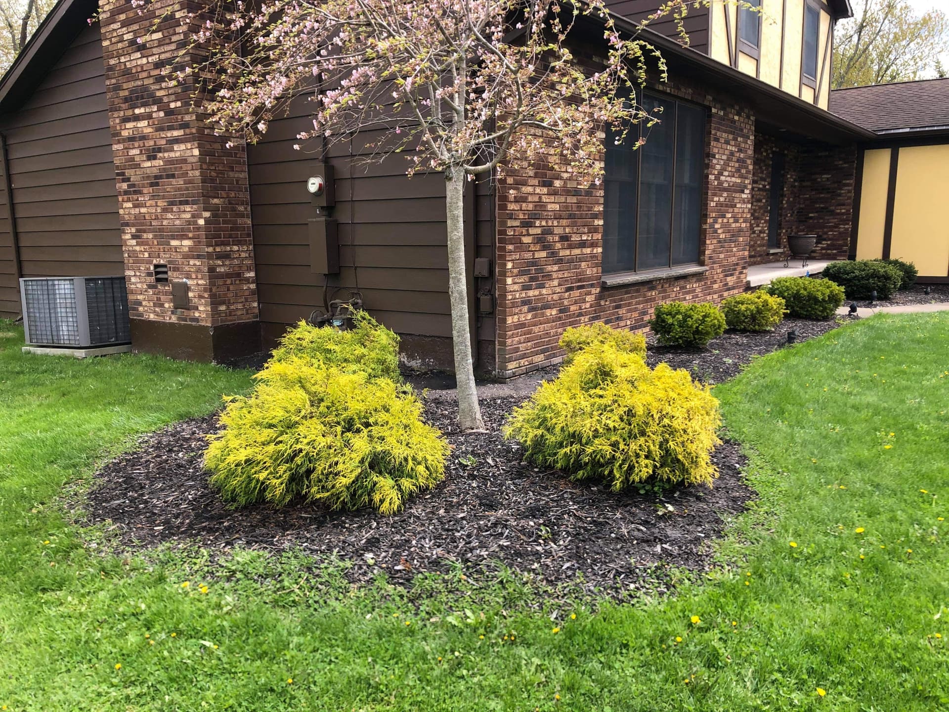 Gallery photos for Transform Your Yard with Precise Mulching and Edging: Image #3