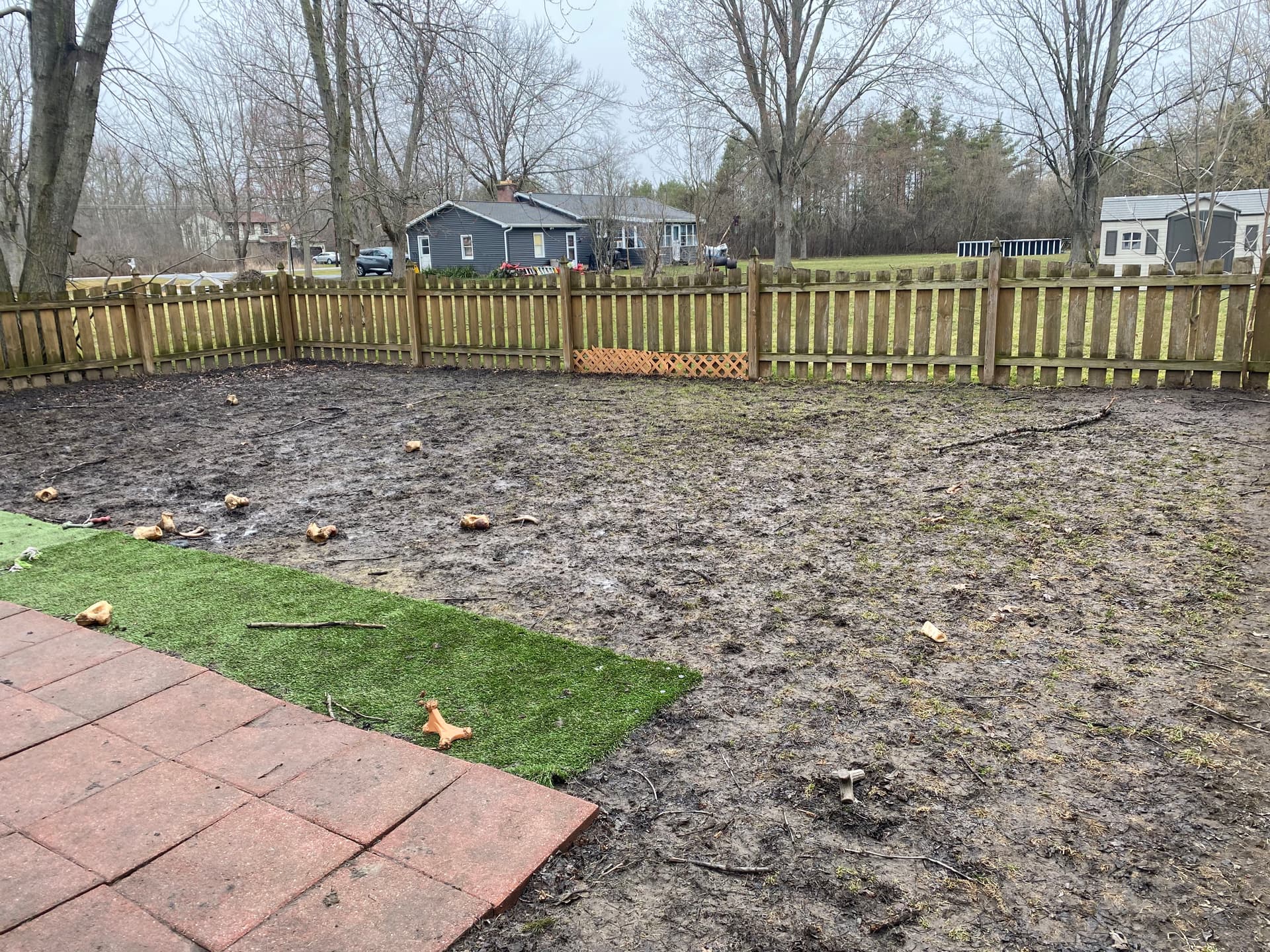 Gallery photos for Pet-Friendly Turf Upgrade in Western New York: Image #1