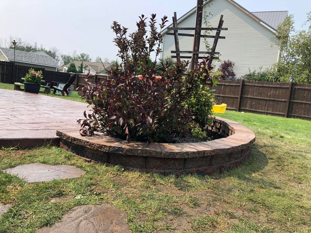 Curved brick flower bed featuring purple shrubs in a residential backyard setting.