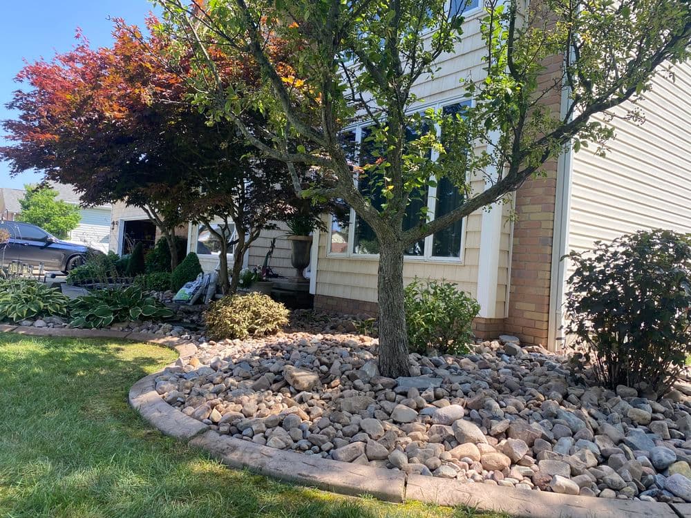 Landscaped garden featuring river rocks, a tree, and colorful foliage near a home.