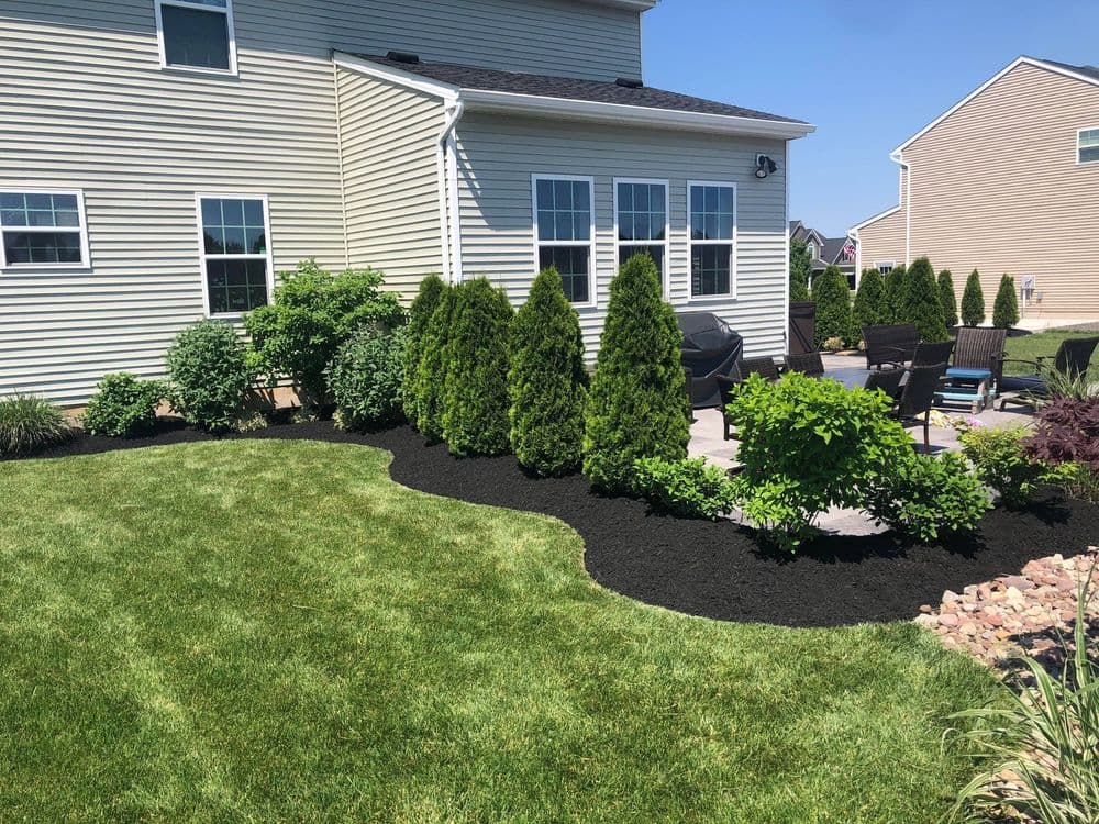 Lush backyard landscaping with manicured grass, shrubs, and black mulch near a house.