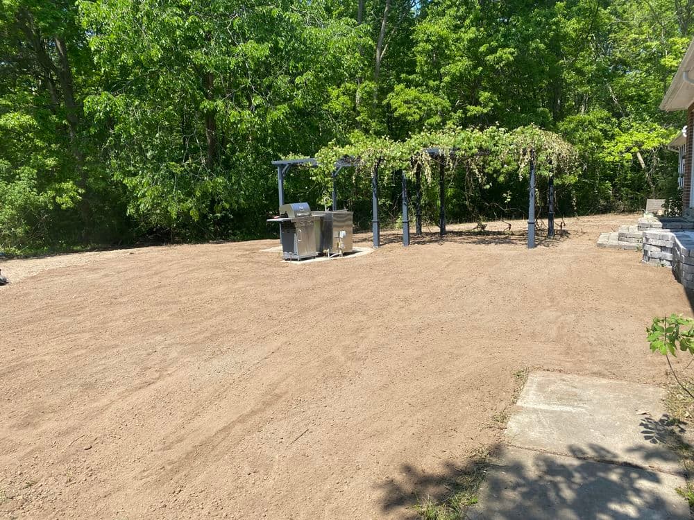 Cleared yard with grilling area and vine-covered pergola surrounded by trees.