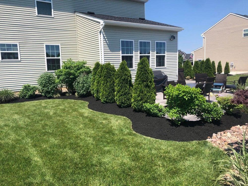 Lush green lawn and landscaped garden with shrubs and mulch near a house exterior.